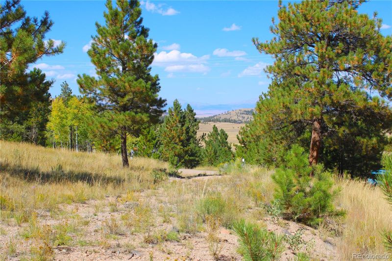 362 Sombrero Rd Lot 545, Hartsel, CO 80449
