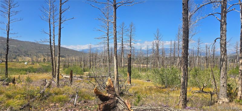Lot 1242 Granville Loop, Fort Garland, CO 81133