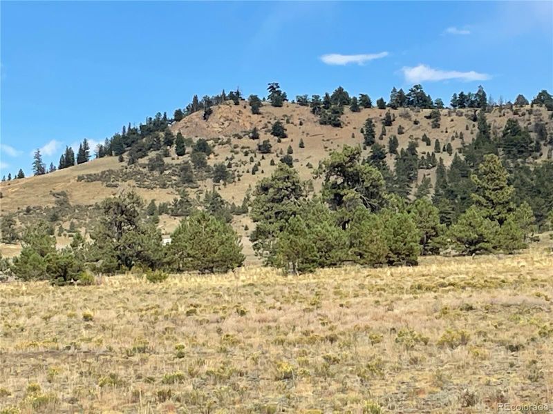 14171 Chickasaw Rd, Hartsel, CO 80449