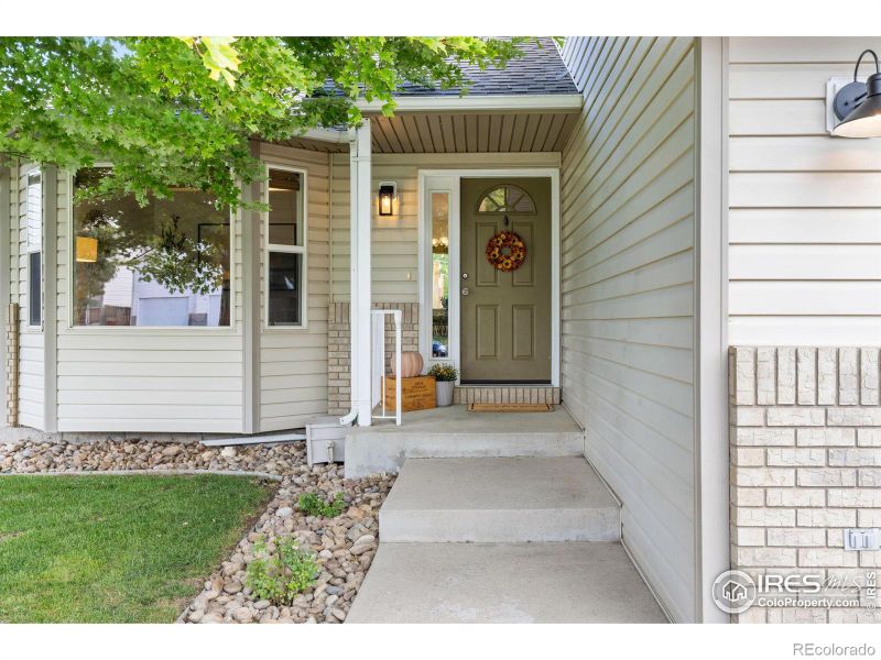 521 Springwood Ct, Windsor, CO 80550