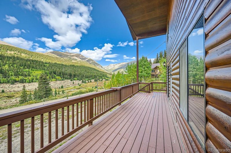 2554 County Road 4, Alma, CO 80420
