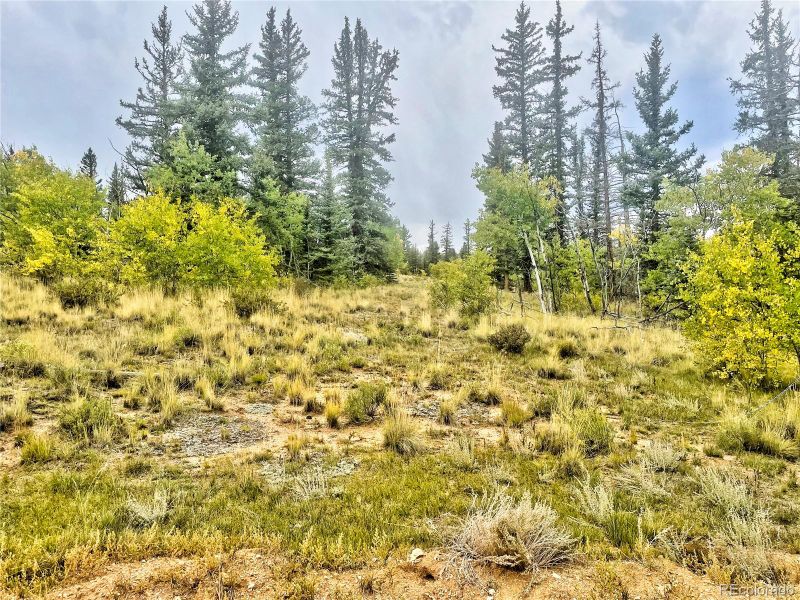 165 Cartridge Way, Como, CO 80432