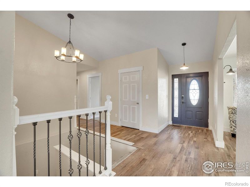 144 Mount Simon Dr, Livermore, CO 80536