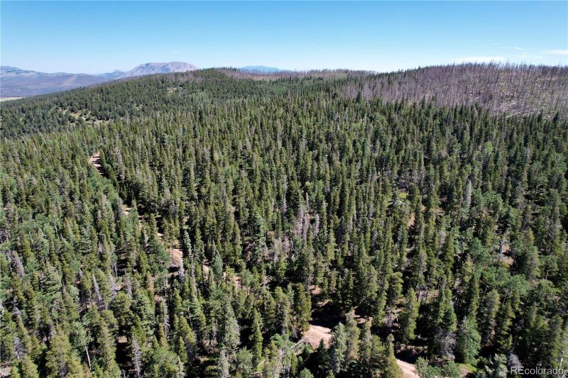 3237 Zipf Ln, Fort Garland, CO 81133