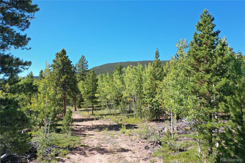 105 Road P62, Bailey, CO 80421