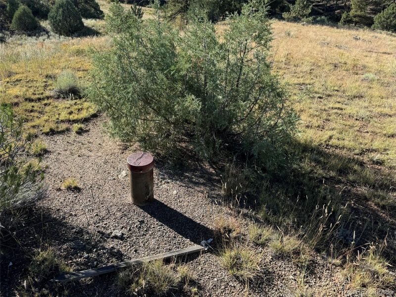 335 Silver Ln, Cotopaxi, CO 81223