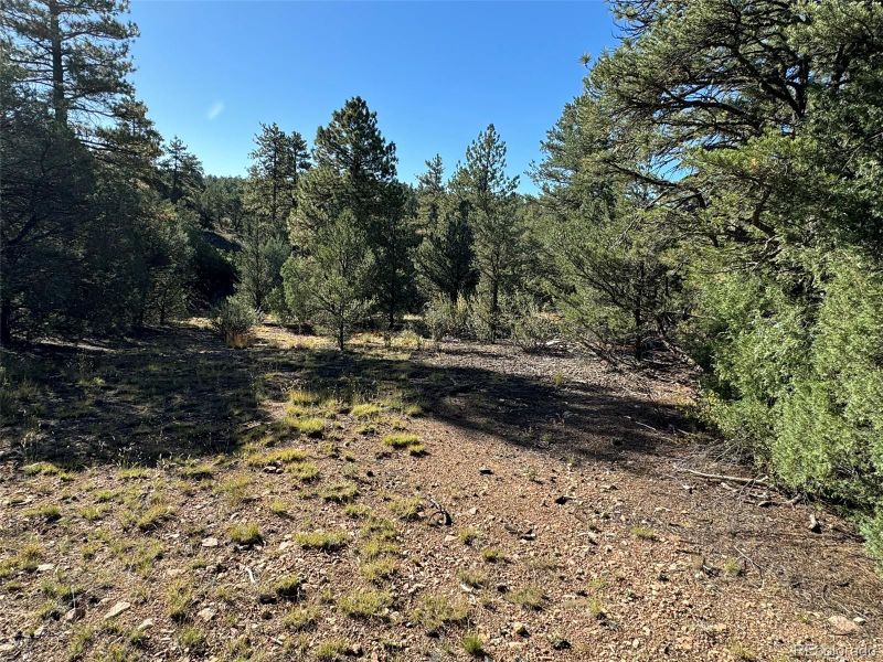 335 Silver Ln, Cotopaxi, CO 81223
