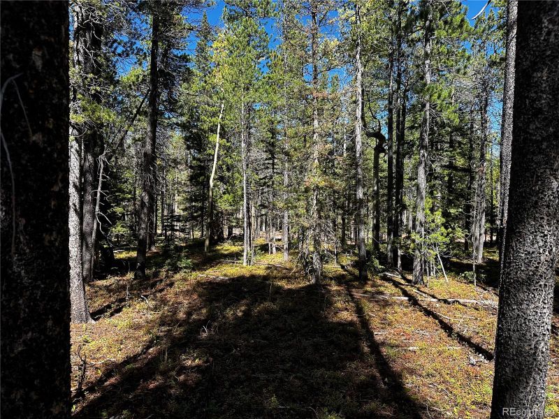 3443 Drexler Pl Lot 3443, Fort Garland, CO 81133