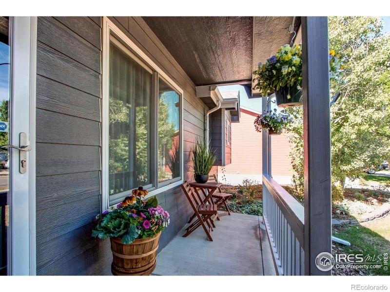 2916 W D St, Greeley, CO 80631