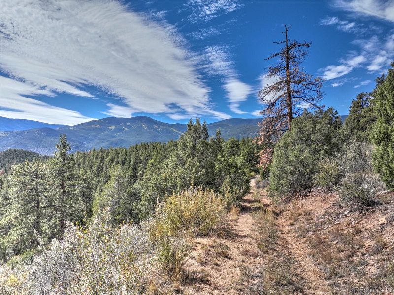 1913 S Ridge Rd, Bailey, CO 80421