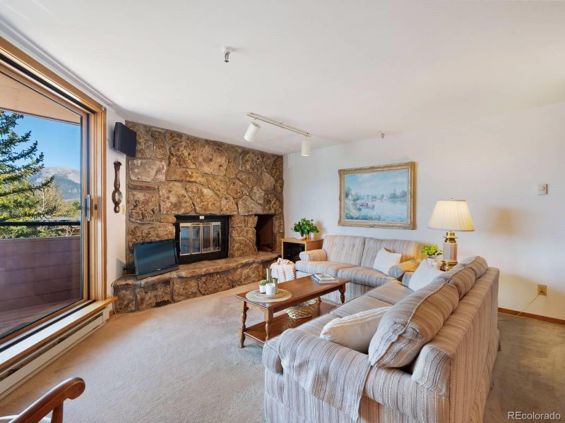 180 E La Bonte St #433, Dillon, CO 80435