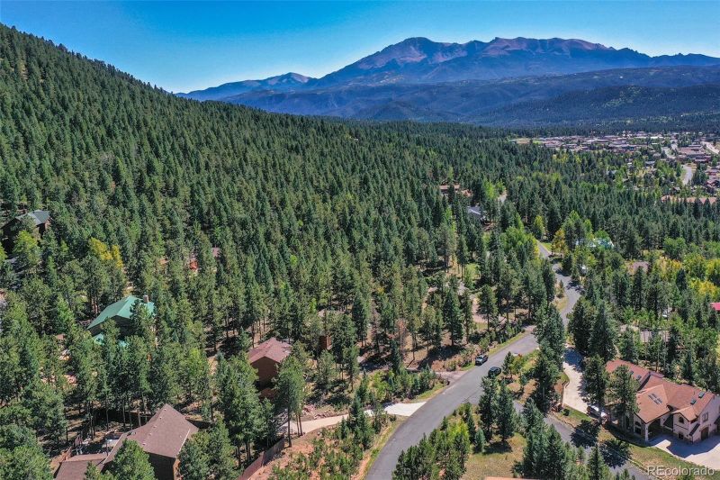 1261 Forest Edge Rd, Woodland Park, CO 80863