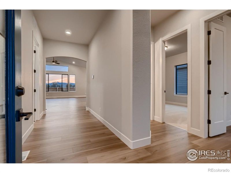 833 Clydesdale Dr, Windsor, CO 80550
