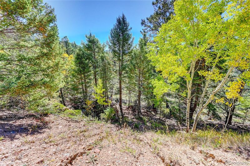 11692 Braun Way, Conifer, CO 80433