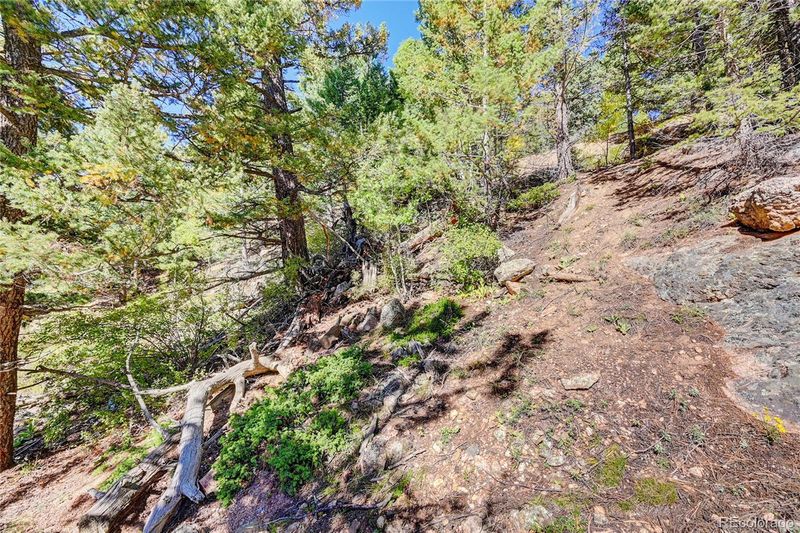 11692 Braun Way, Conifer, CO 80433