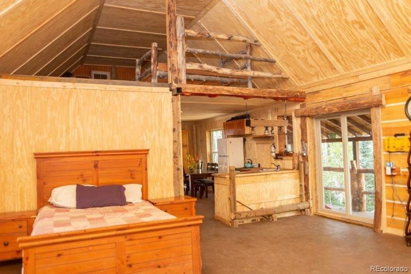6105 Bachelor Loop, Creede, CO 81130