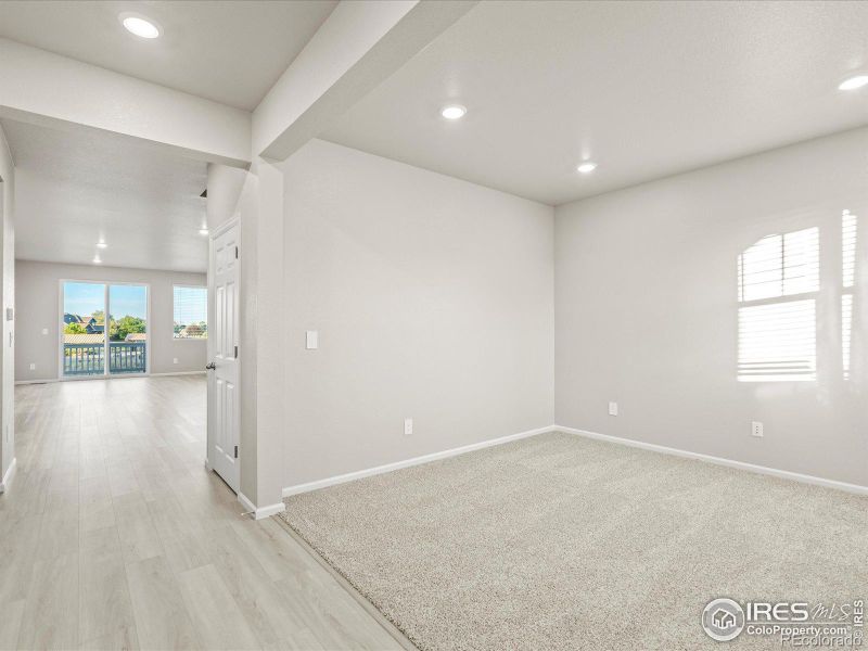 1646 Colorado River Dr, Windsor, CO 80550