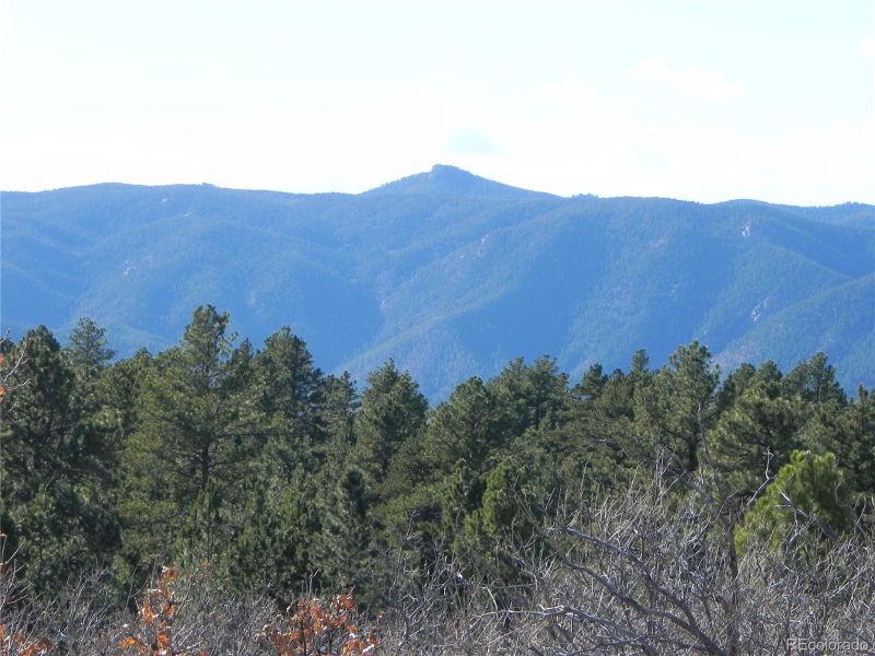 2423 Paint Brush Ct, Larkspur, CO 80118