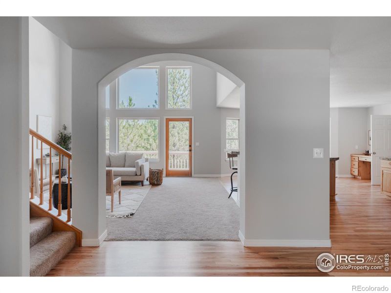 3105 Dandy Lion Ln, Evergreen, CO 80439