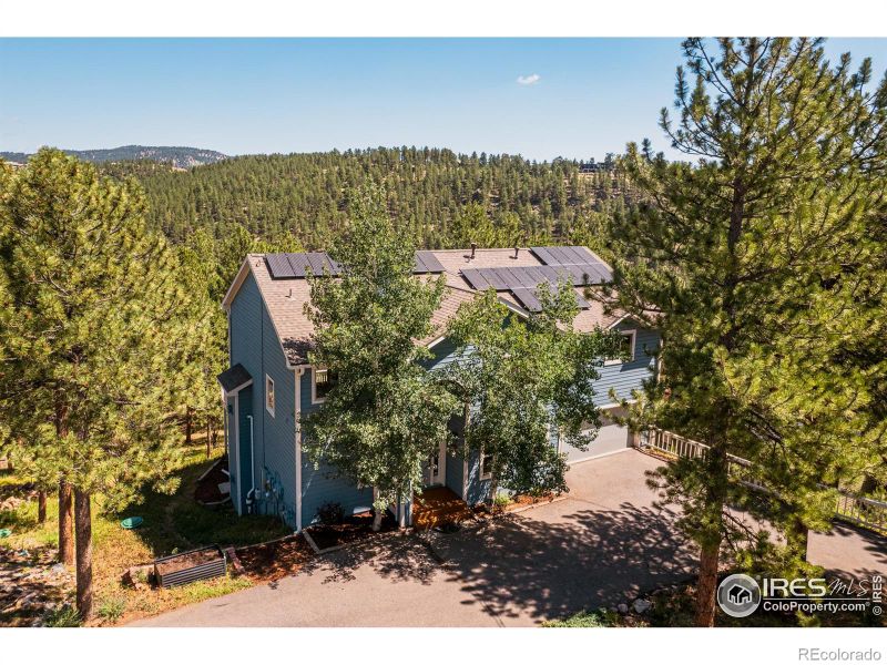 3105 Dandy Lion Ln, Evergreen, CO 80439