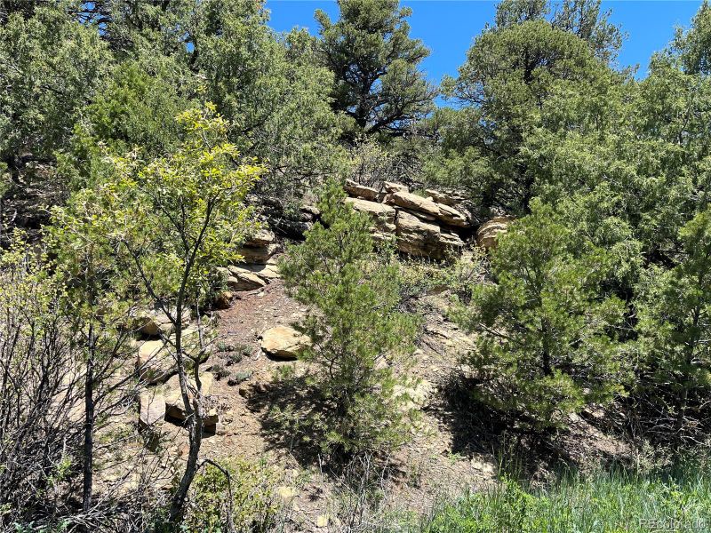 Canyon Dr, Trinidad, CO 81082