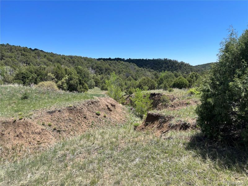 Canyon Dr, Trinidad, CO 81082