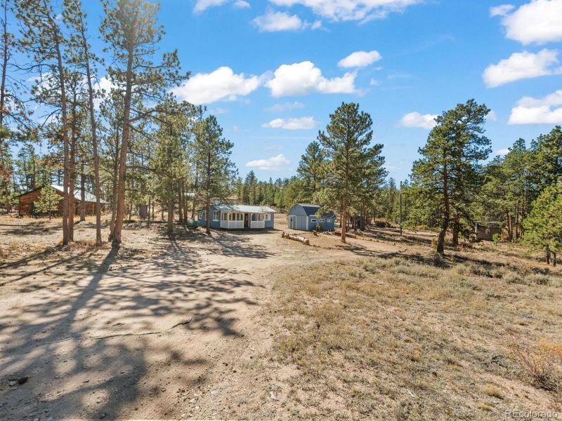 81 Rain Dance Ct, Red Feather Lakes, CO 80545