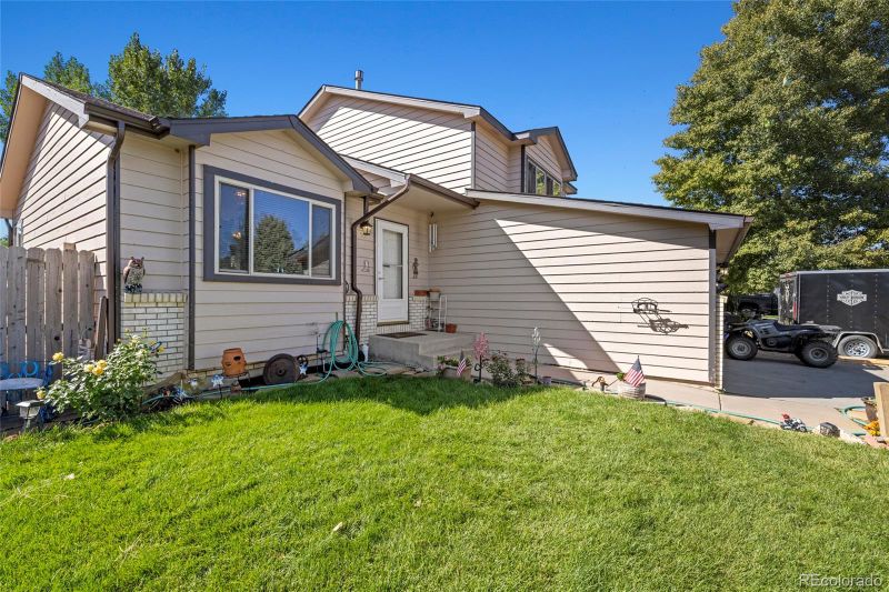 55 Chestnut St, Windsor, CO 80550