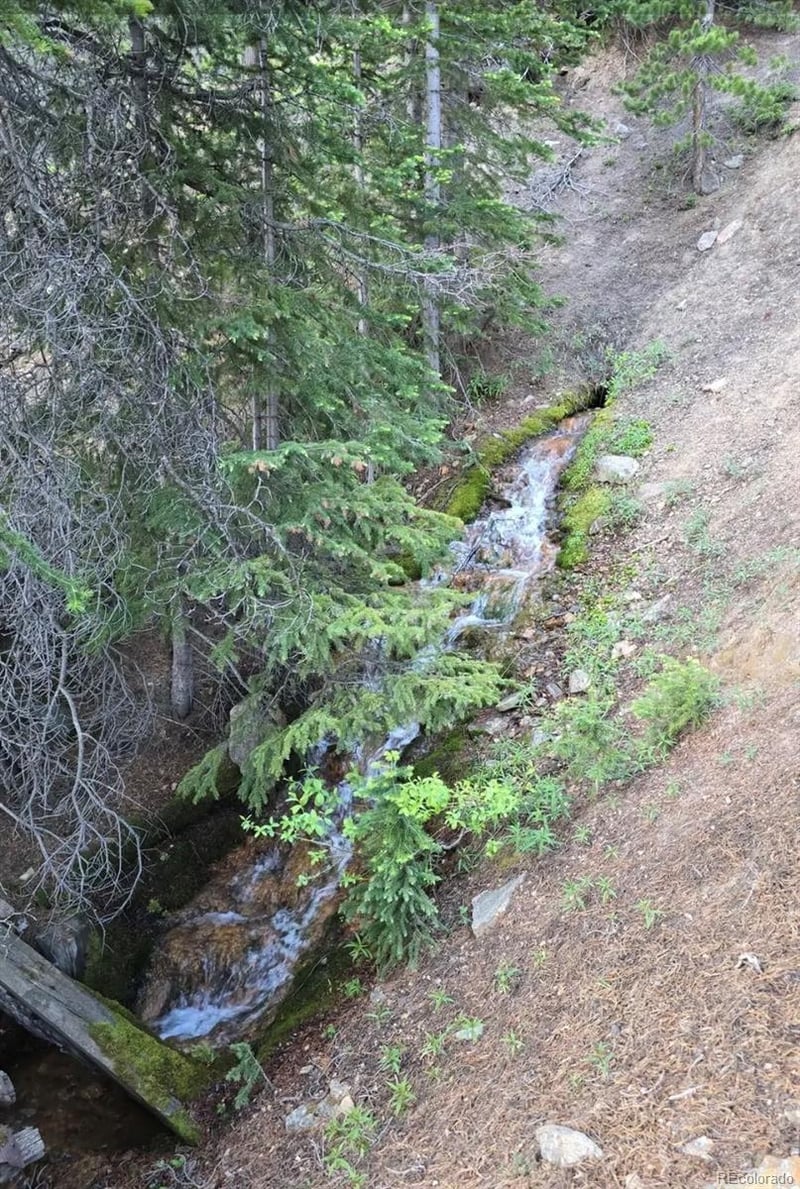 Democrat Mountain Claims, Georgetown, CO 80444