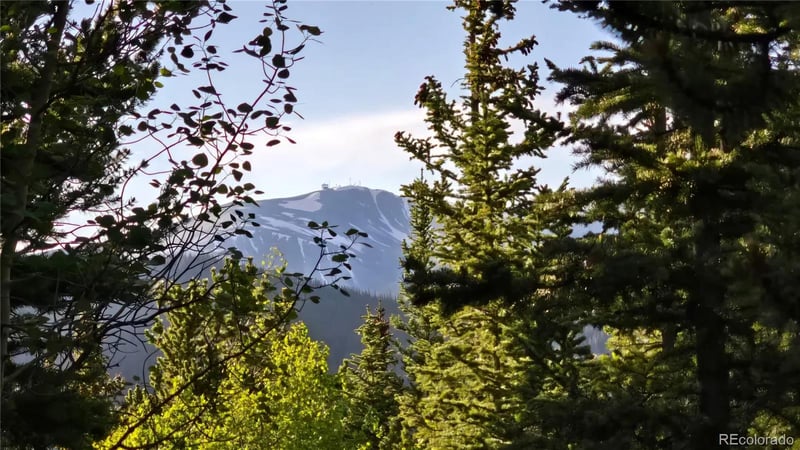 Democrat Mountain Claims, Georgetown, CO 80444