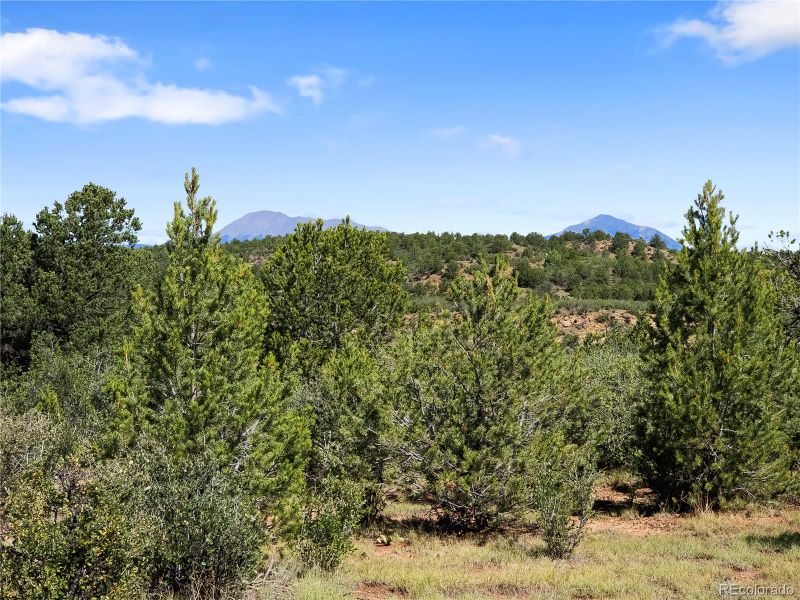Plaza, Weston, CO 81091