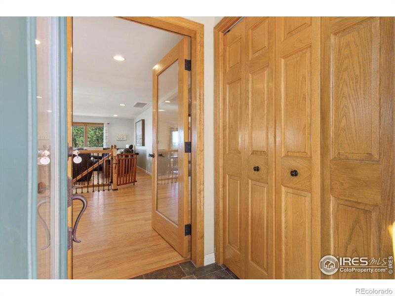 261 Mount Alice Ct, Livermore, CO 80536