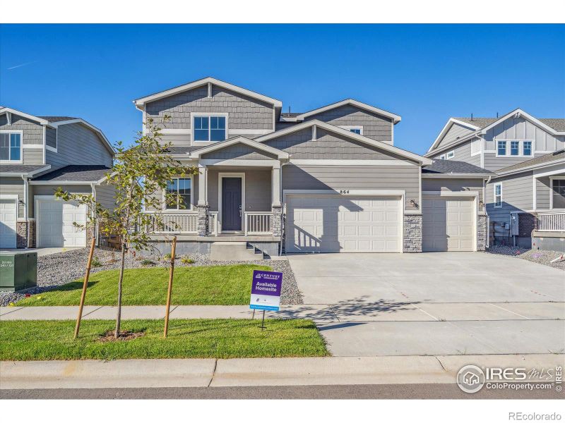 864 Hummocky Way, Windsor, CO 80550