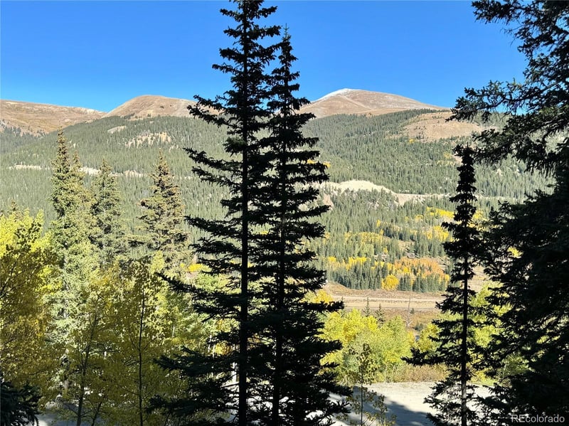 1032 Roberts Rd Lot 22, Alma, CO 80420