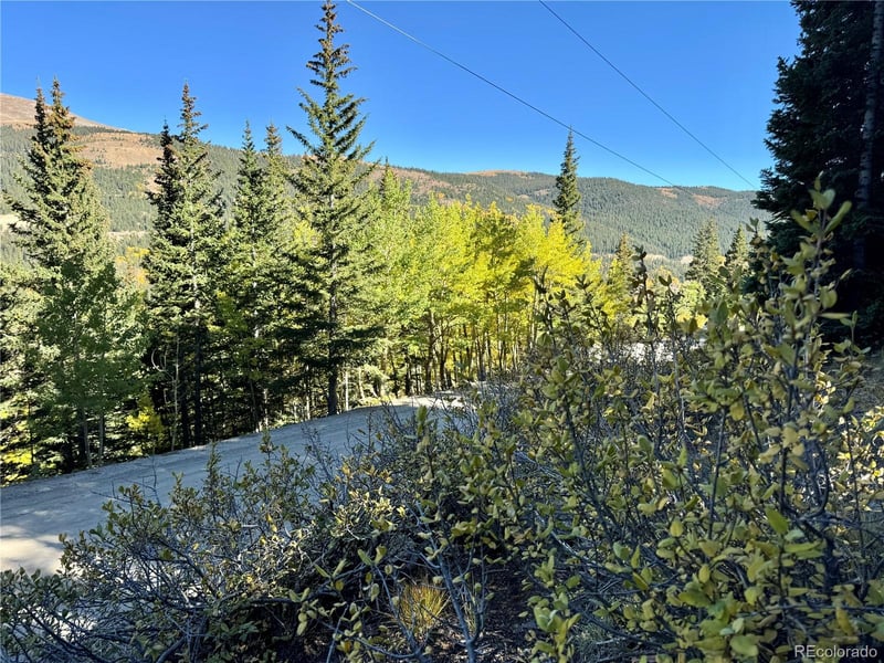 1032 Roberts Rd Lot 22, Alma, CO 80420