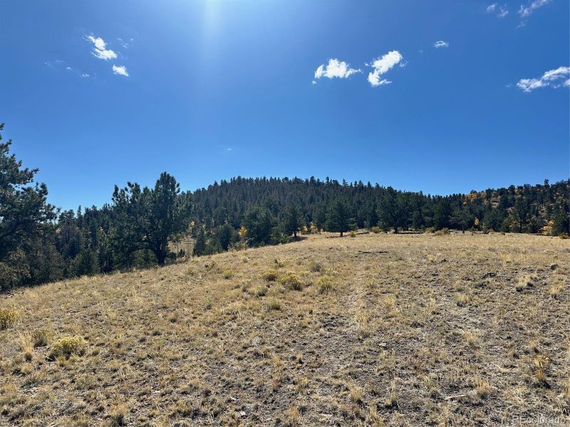 0 Antelope Rd, Hartsel, CO 80449