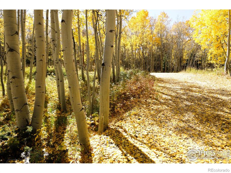 1136 Highpoint Cir, Black Hawk, CO 80422