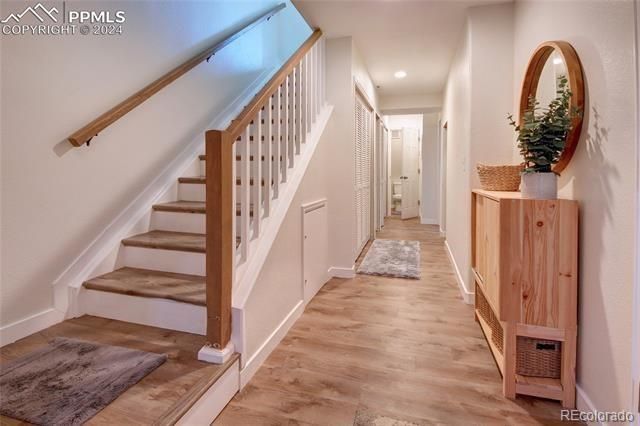 1167 Autumn Star Point, Monument, CO 80132