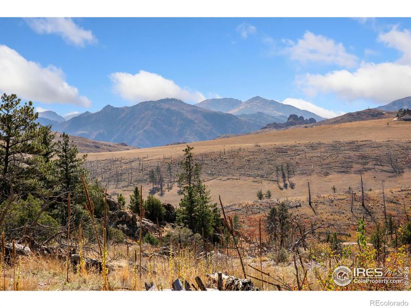 0 Le Conte Dr, Livermore, CO 80536