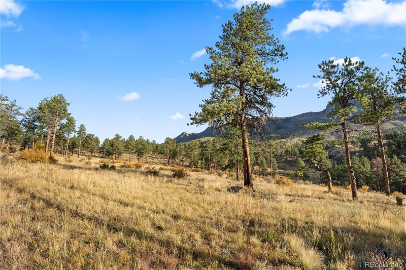 000 Highway 285, Shawnee, CO 80475