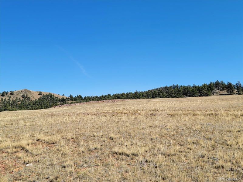 0 Zuni Rd Lot 6085, Hartsel, CO 80449