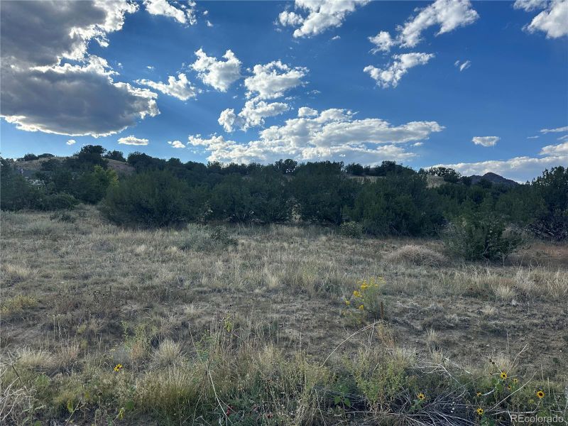 69 Wild Rose Dr, Canon City, CO 81212