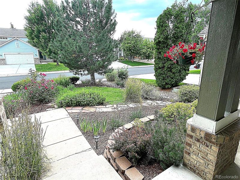 19171 E Hollow Creek Dr, Parker, CO 80134