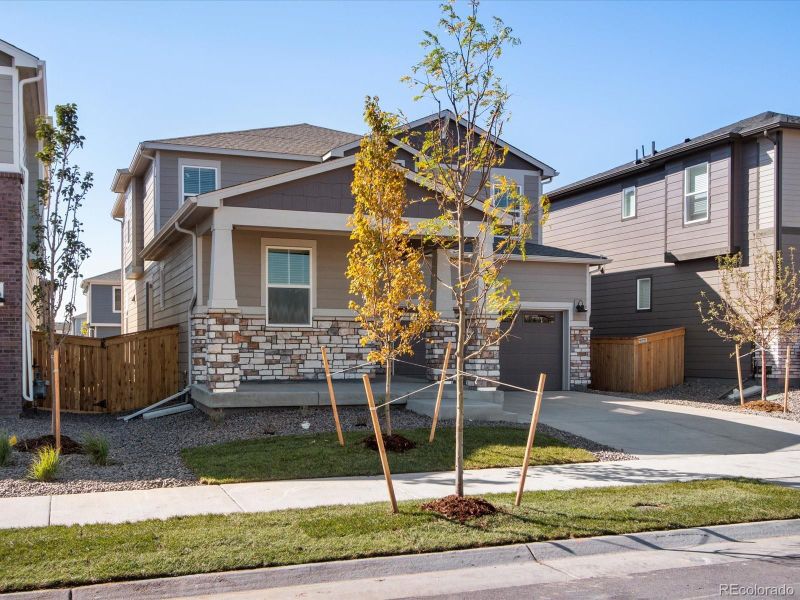 545 Red Rock Pl, Brighton, CO 80601