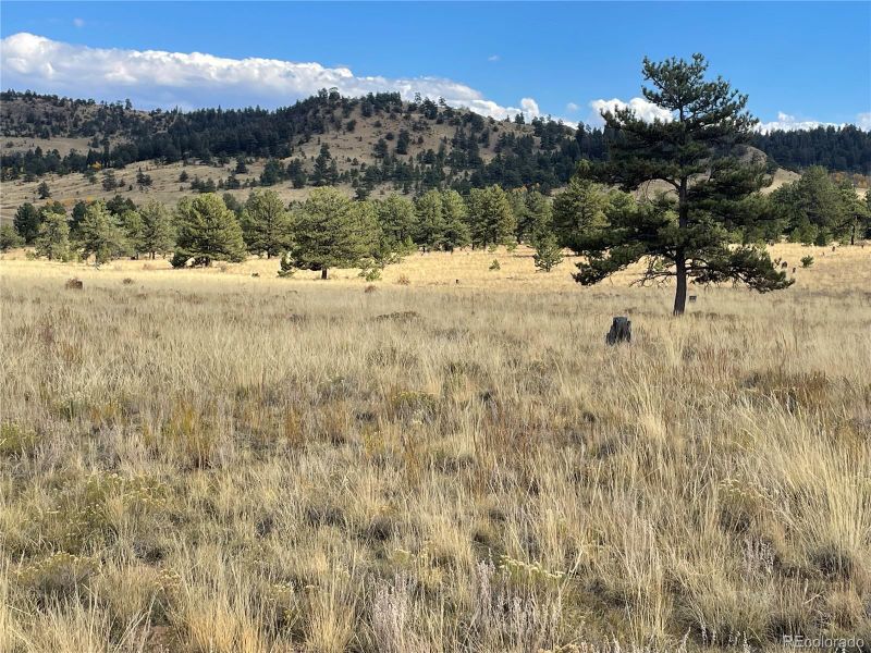 1035 Guipago Trl, Hartsel, CO 80449
