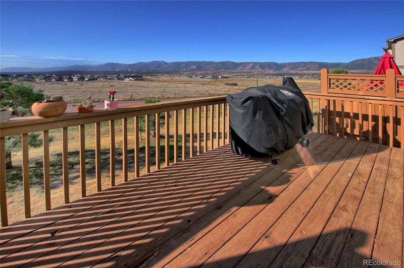 957 Burning Bush Point, Monument, CO 80132