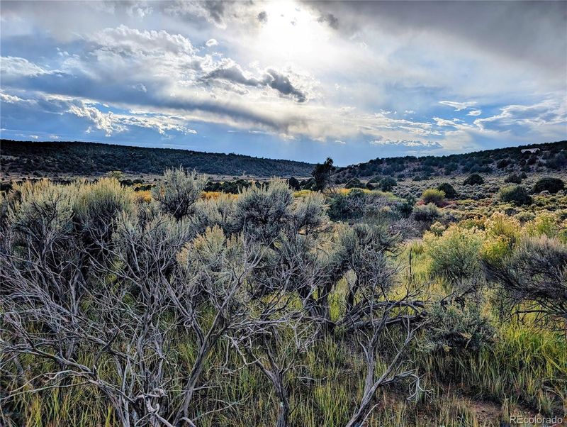 Lot 7571 Mallott Rd, Fort Garland, CO 81133
