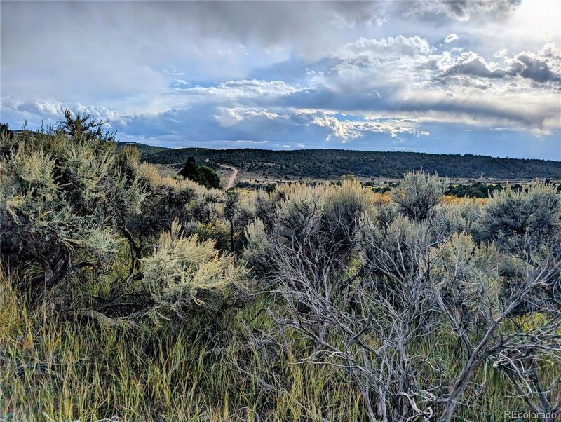 Lot 7571 Mallott Rd, Fort Garland, CO 81133
