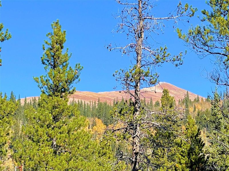 Mosquito Cir Lot 11, Alma, CO 80420
