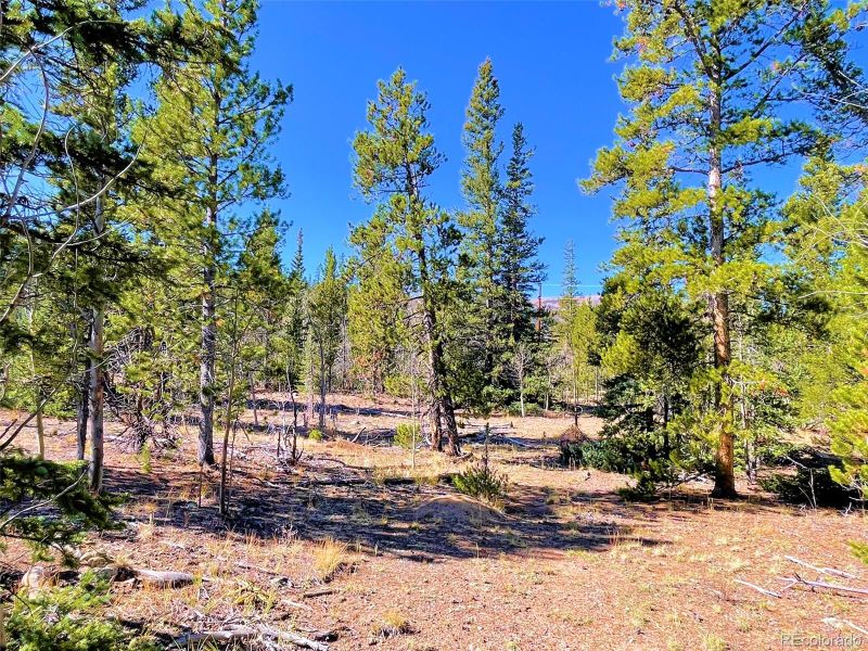 Mosquito Cir Lot 11, Alma, CO 80420
